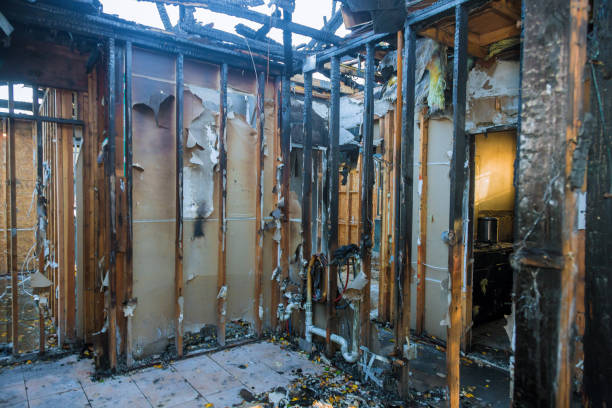Professional Emergency Fire Damage Restoration technician working in Edgewater, MD